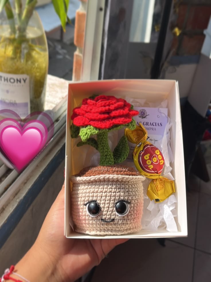 Box con maceta tejida y rosas rojas