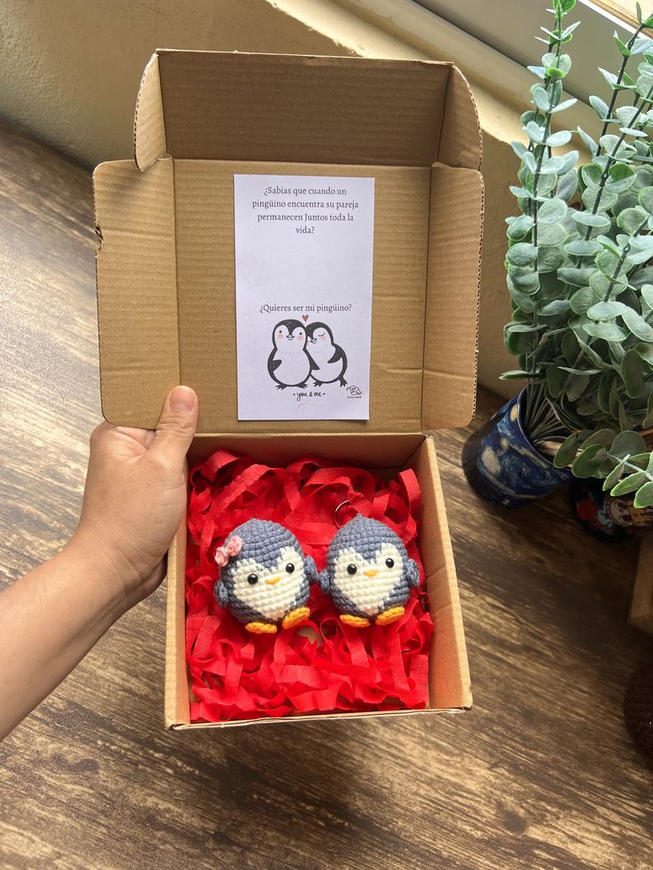 Box de mini personajes tejidos